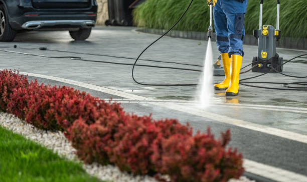 Professional  Pressure Washing in Bass Lake, IN